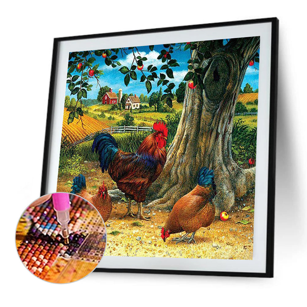 Farm Rooster - Full AB Dril Square Diamond Painting 40*40CM