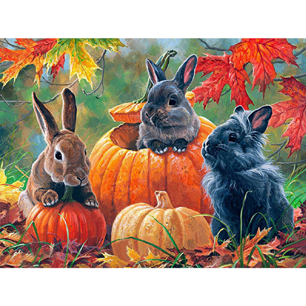 Autumn Pumpkin Bunny - Full Round Drill Diamond Painting 40*30CM