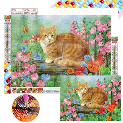 Cat - Full Square Drill Diamond Painting 40*30CM