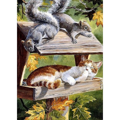 Cat - Full Square Drill Diamond Painting 30*40CM