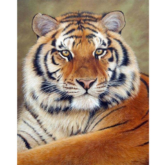 Tiger - Full Round Drill Diamond Painting 40*50CM