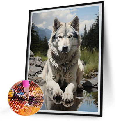 Wolf - Full Round Drill Diamond Painting 30*40CM