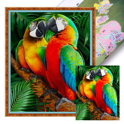 Parrot - 11CT Stamped Cross Stitch 40*50CM