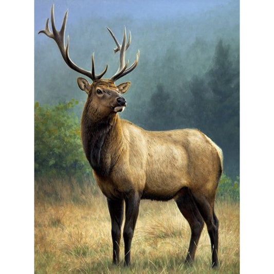 Elk - Full Round Drill Diamond Painting 30*40CM