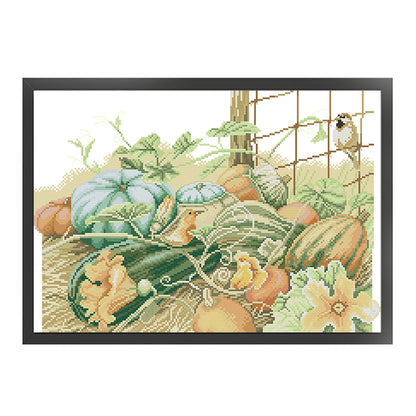 Pumpkin Five - 14CT Stamped Cross Stitch 45*33CM£¨Joy Sunday£©