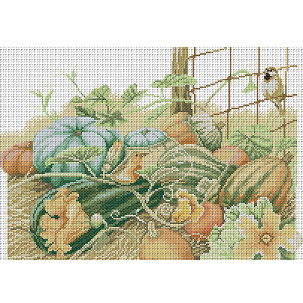 Pumpkin Five - 14CT Stamped Cross Stitch 45*33CM£¨Joy Sunday£©