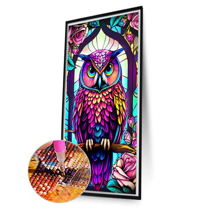 Colorful Owl - Full AB Drill Round Diamond Painting 40*70CM