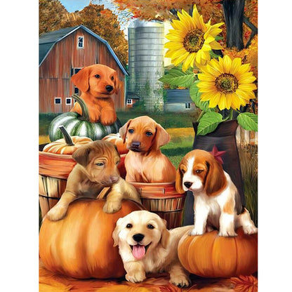 Pumpkin Farm Puppy - Full Round Drill Diamond Painting 30*40CM