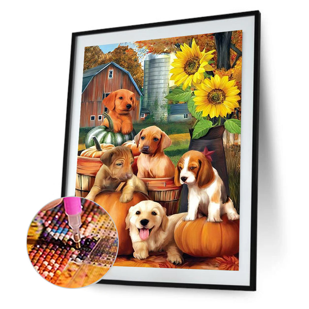 Pumpkin Farm Puppy - Full Round Drill Diamond Painting 30*40CM