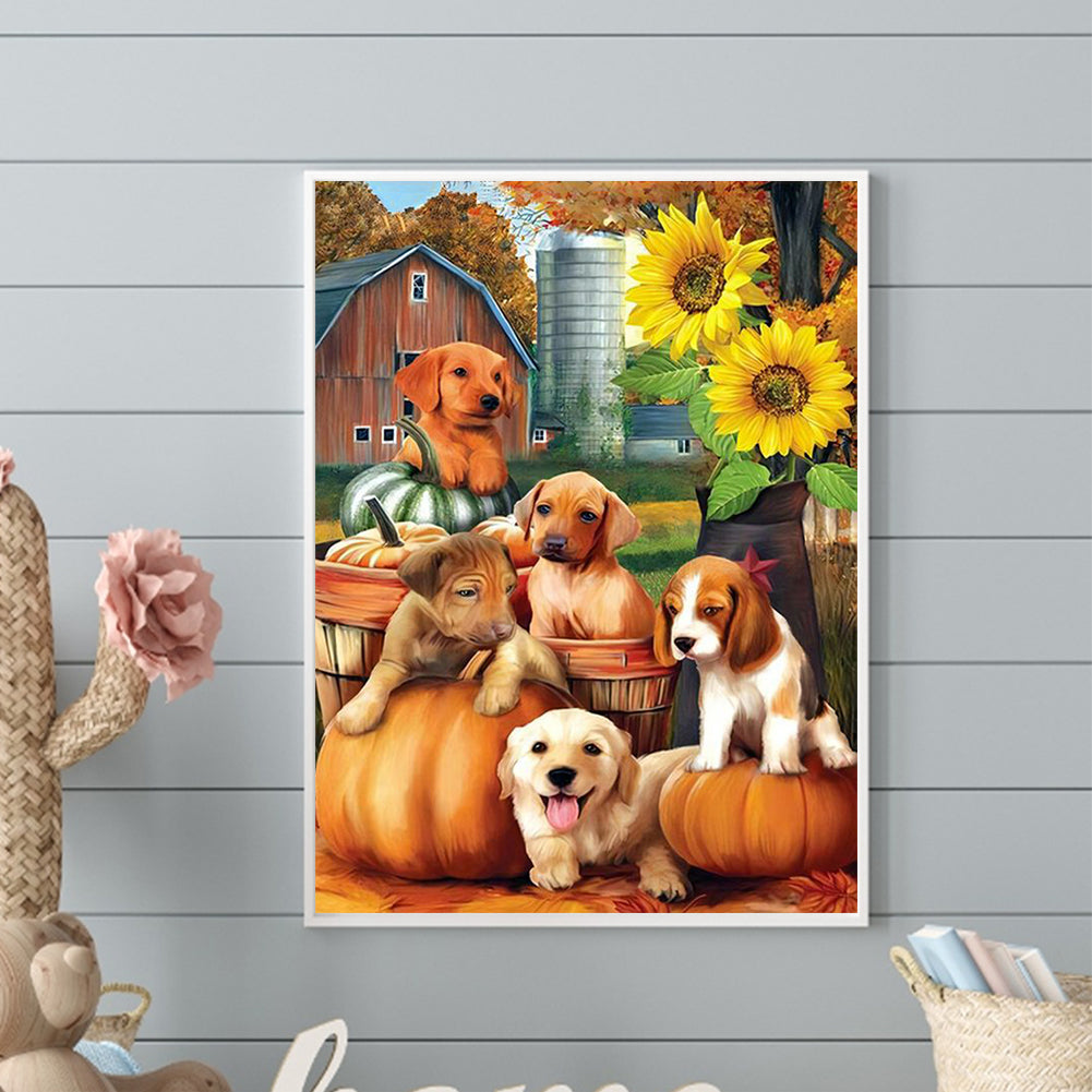 Pumpkin Farm Puppy - Full Round Drill Diamond Painting 30*40CM