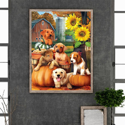 Pumpkin Farm Puppy - Full Round Drill Diamond Painting 30*40CM