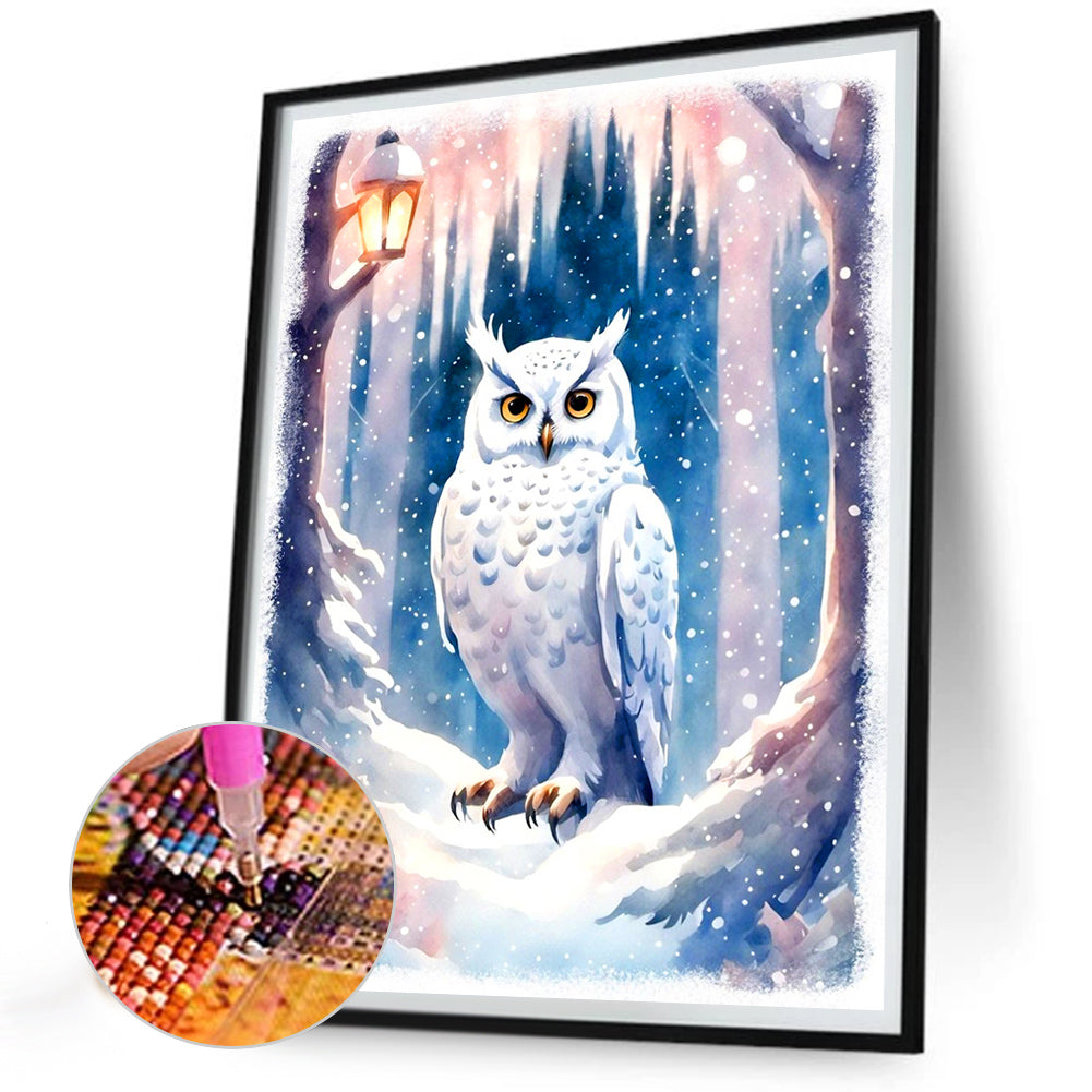 Owl - Full Round Drill Diamond Painting 30*40CM