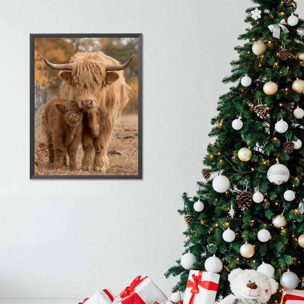 Scottish Highland Cattle - Full Round Drill Diamond Painting 30*40CM