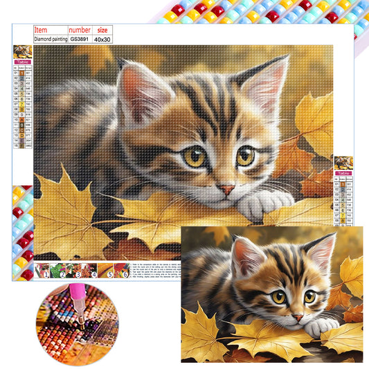 Cat - Full Square Drill Diamond Painting 40*30CM