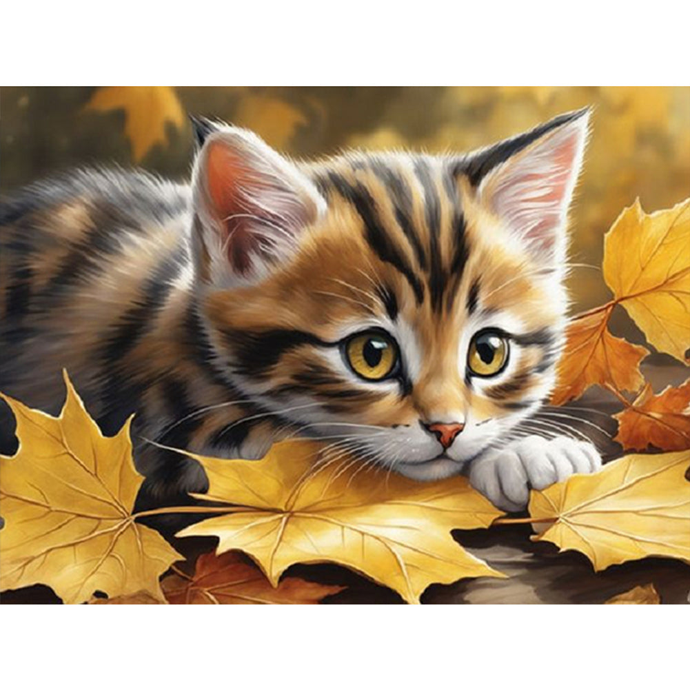 Cat - Full Square Drill Diamond Painting 40*30CM