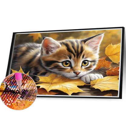 Cat - Full Square Drill Diamond Painting 40*30CM