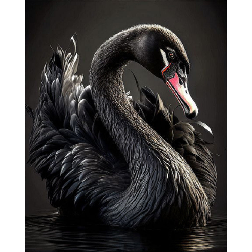 Black Swan - Full Square Drill Diamond Painting 40*50CM