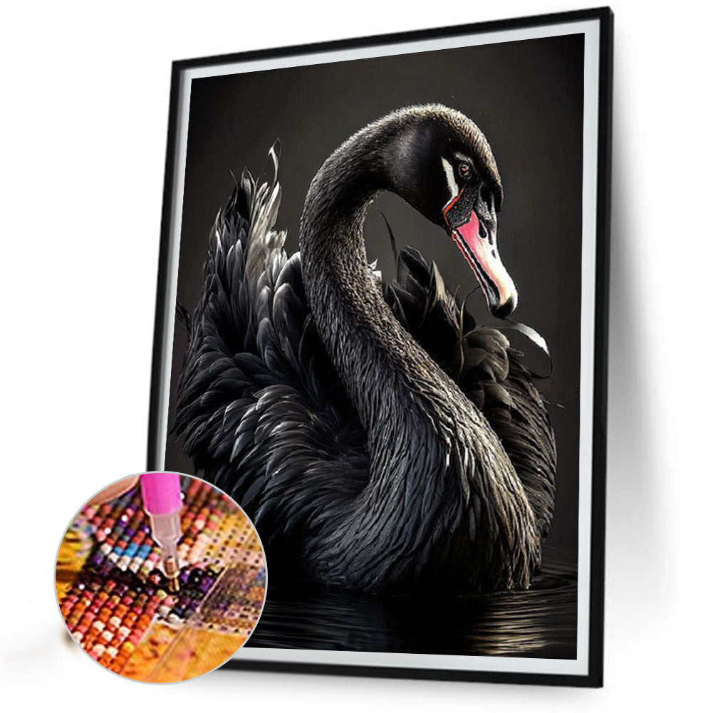 Black Swan - Full Square Drill Diamond Painting 40*50CM