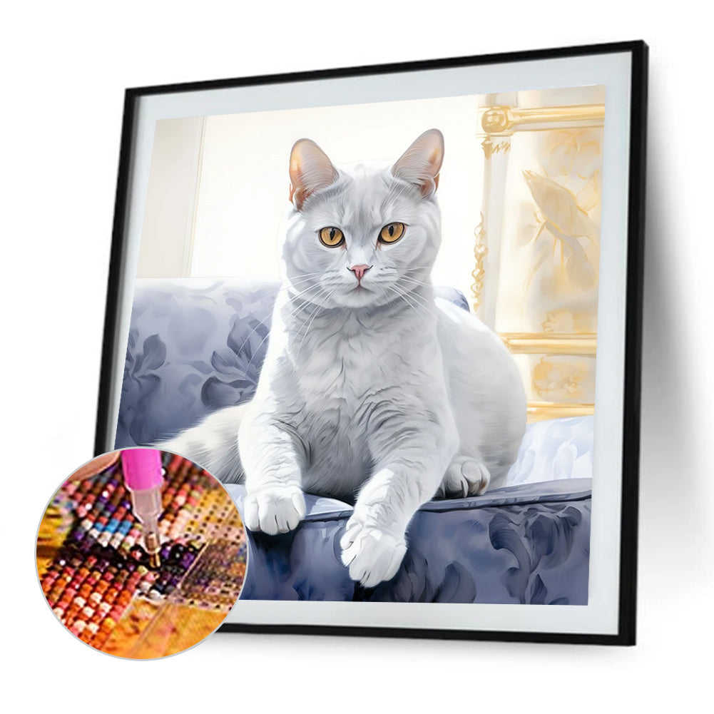 Cat - Full Round Drill Diamond Painting 35*35CM