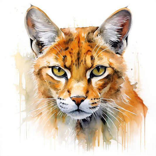 Cat - Full Round Drill Diamond Painting 35*35CM