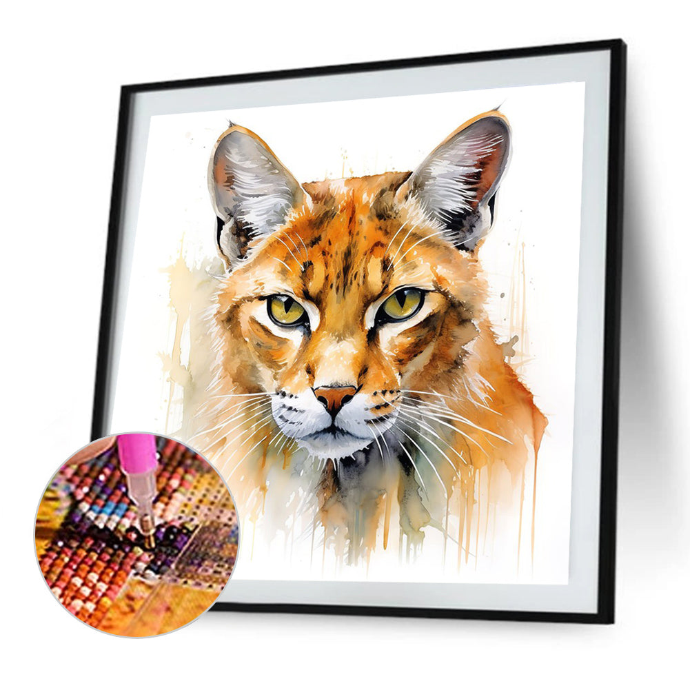 Cat - Full Round Drill Diamond Painting 35*35CM