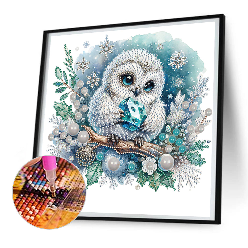 Winter Owl - Special Shaped Drill Diamond Painting 30*30CM