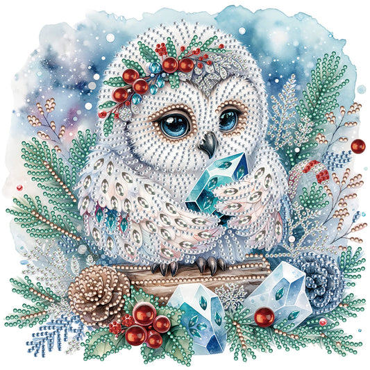 Winter Owl - Special Shaped Drill Diamond Painting 30*30CM