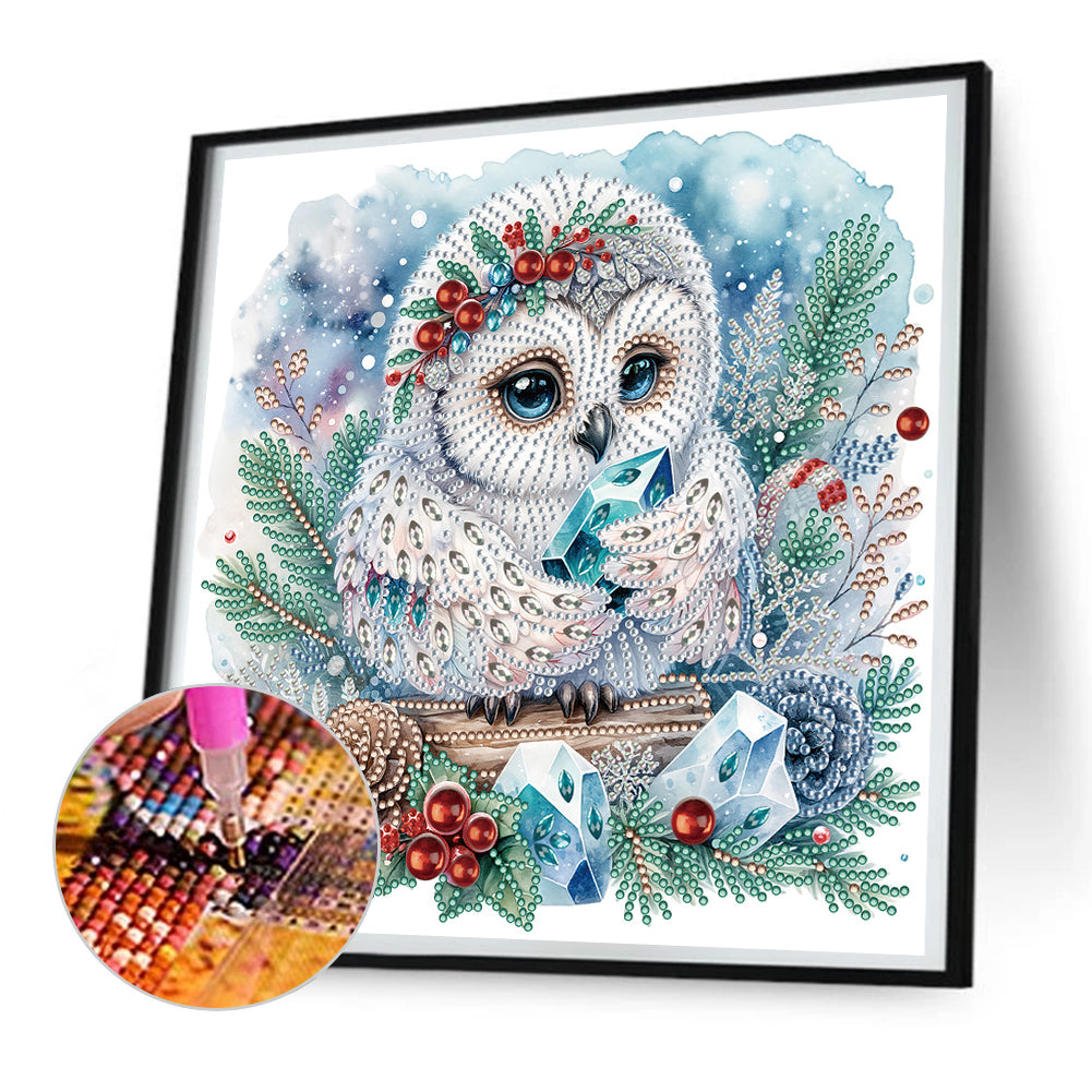 Winter Owl - Special Shaped Drill Diamond Painting 30*30CM