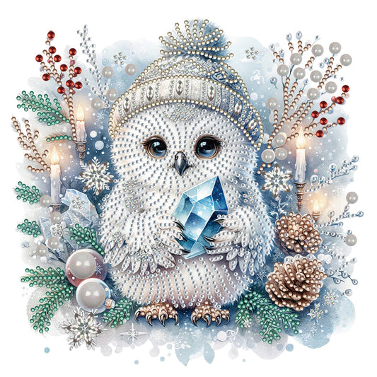 Winter Owl - Special Shaped Drill Diamond Painting 30*30CM