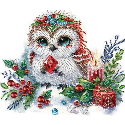 Winter Owl - Special Shaped Drill Diamond Painting 30*30CM