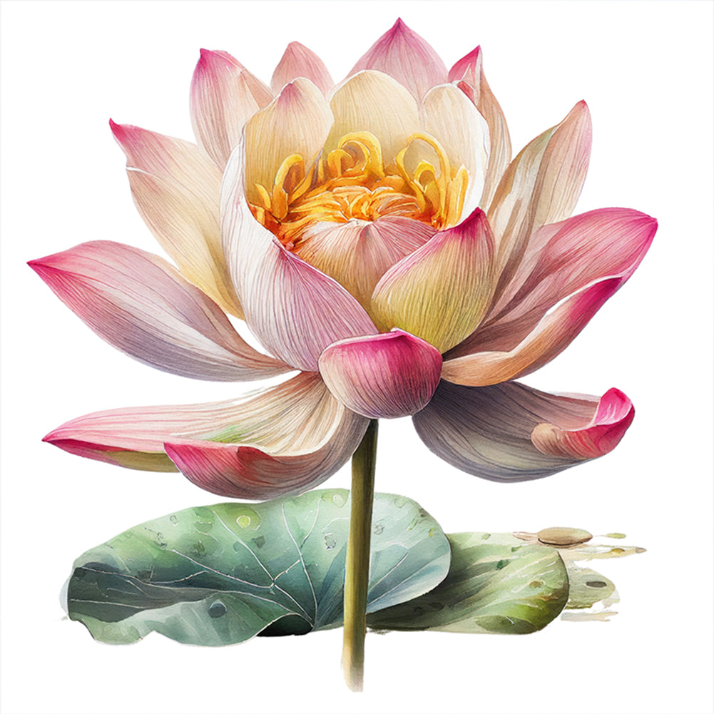 Lotus - 11CT Stamped Cross Stitch 40*40CM