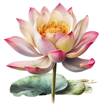 Lotus - 11CT Stamped Cross Stitch 40*40CM