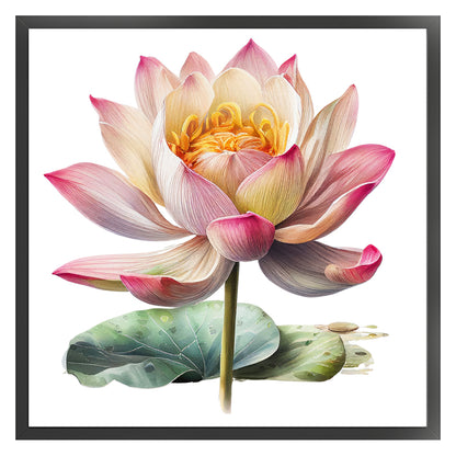 Lotus - 11CT Stamped Cross Stitch 40*40CM