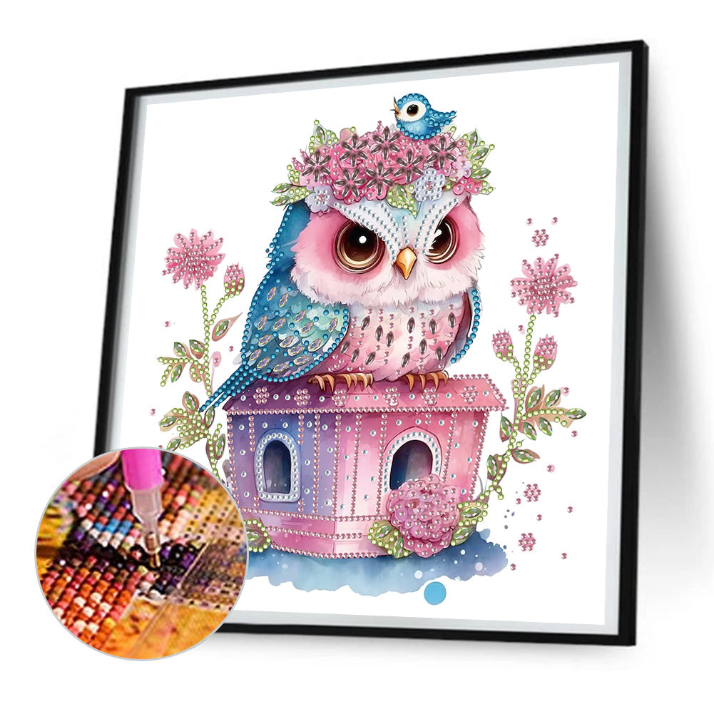 Serious Owl - Special Shaped Drill Diamond Painting 30*30CM