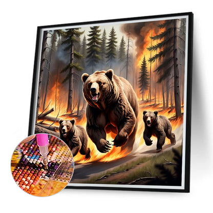 Brown Bear - Full Round Drill Diamond Painting 40*40CM