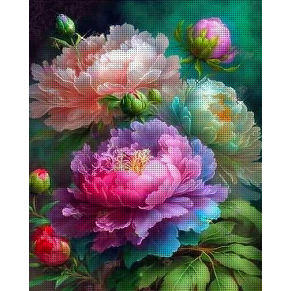 Peony - 11CT Counted Cross Stitch 40*50CM