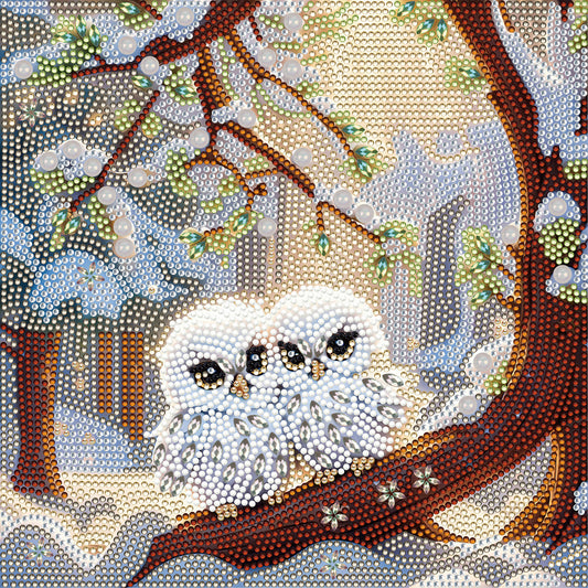 White Owl - Full Special Shaped Drill Diamond Painting 30*30CM