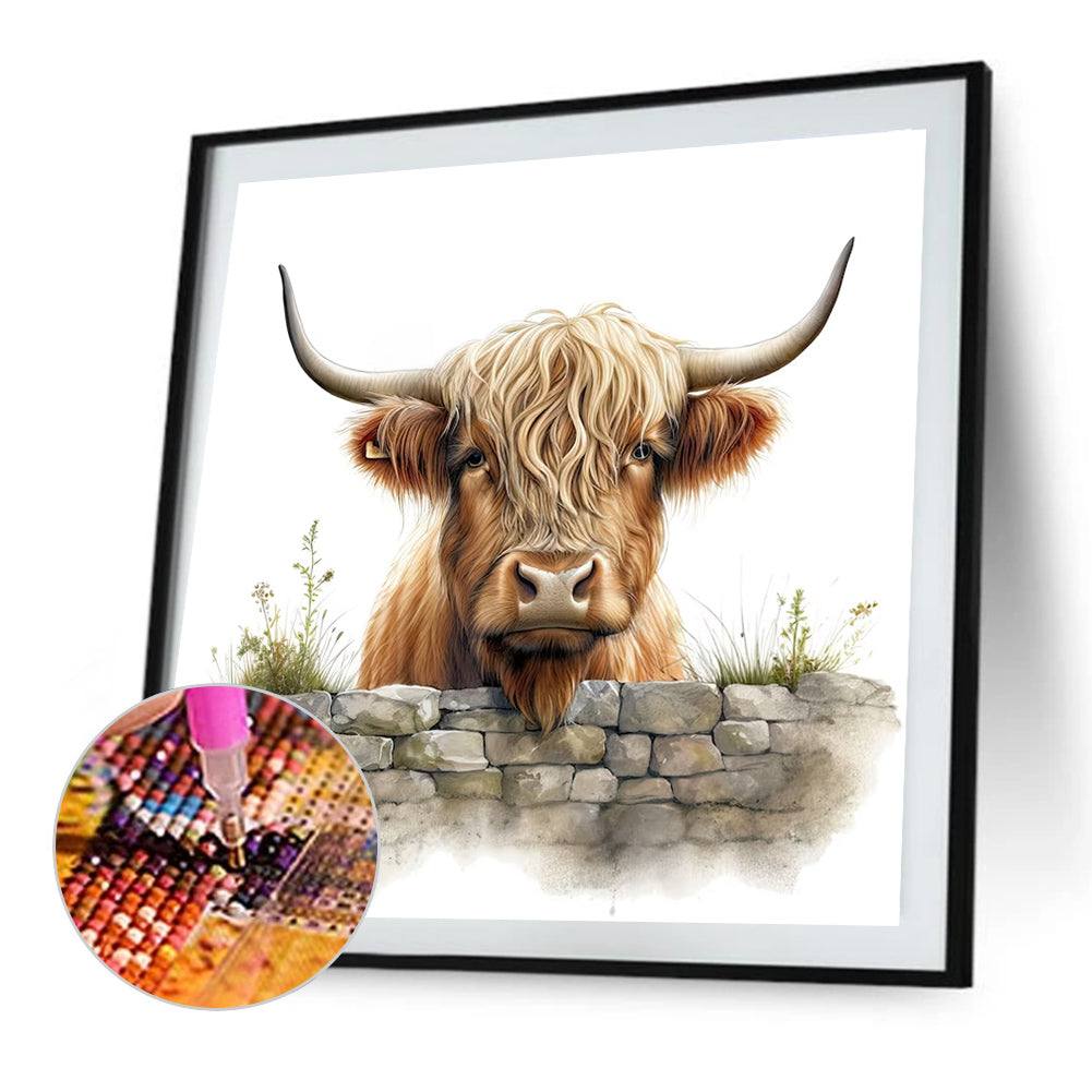 Highland Cow Baby - Full Round Drill Diamond Painting 35*35CM