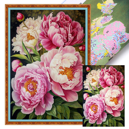 Peony - 11CT Stamped Cross Stitch 40*60CM