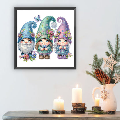 Garden Gnome - Special Shaped Drill Diamond Painting 30*30CM