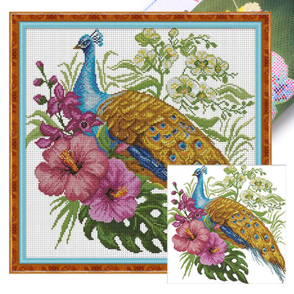 Peacock Three - 14CT Stamped Cross Stitch 41*40CM(Joy Sunday)