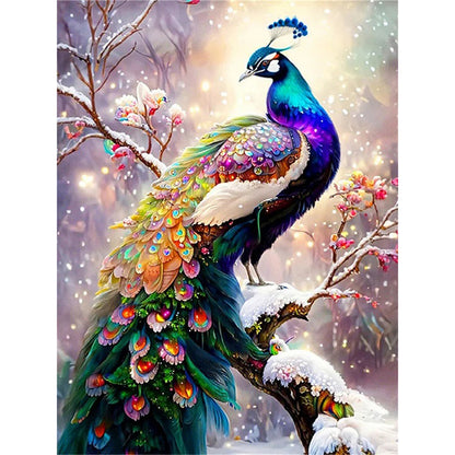 Peacock - 14CT Stamped Cross Stitch 50*65CM