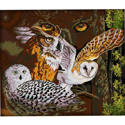 Owl Eleven - 11CT Stamped Cross Stitch 70*61CM(Joy Sunday)