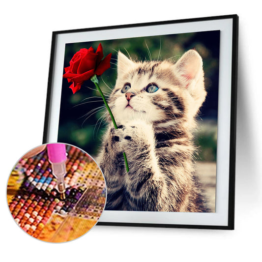 Cat - Special Shaped Drill Diamond Painting 30*30CM