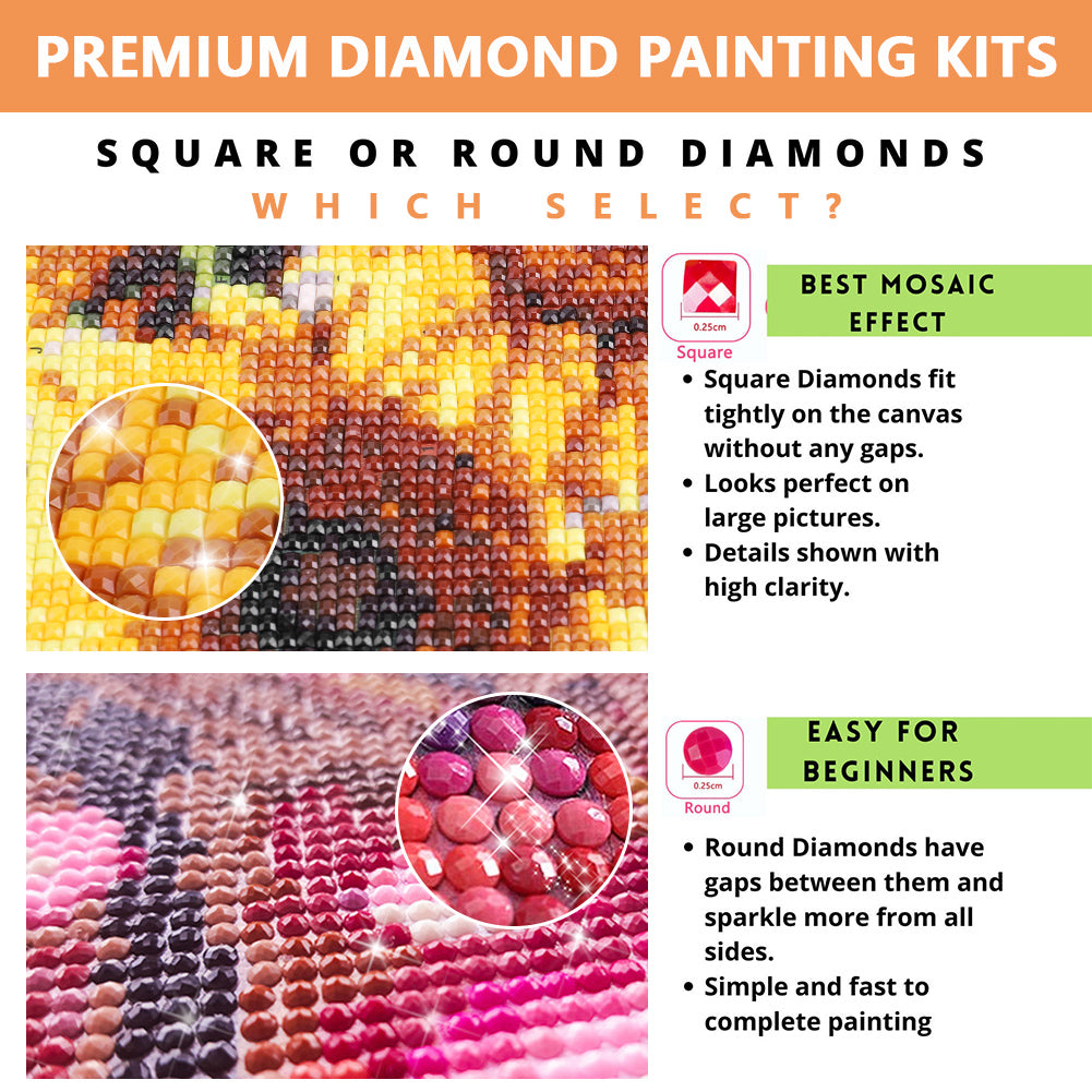 DIY 5D Diamond Painting Kits for Adults Kids Cartoon Squirrels Full Drill Square Diamond Art Painting Home Wall Decor 12 x 16 inch (Includes