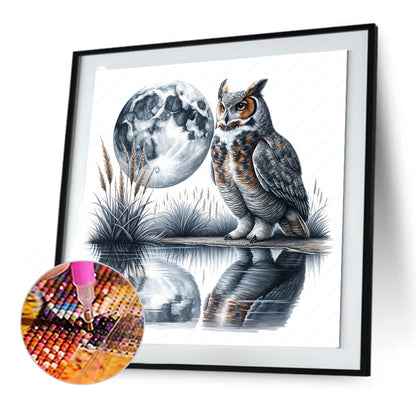 Owl - Full Round Drill Diamond Painting 30*30CM