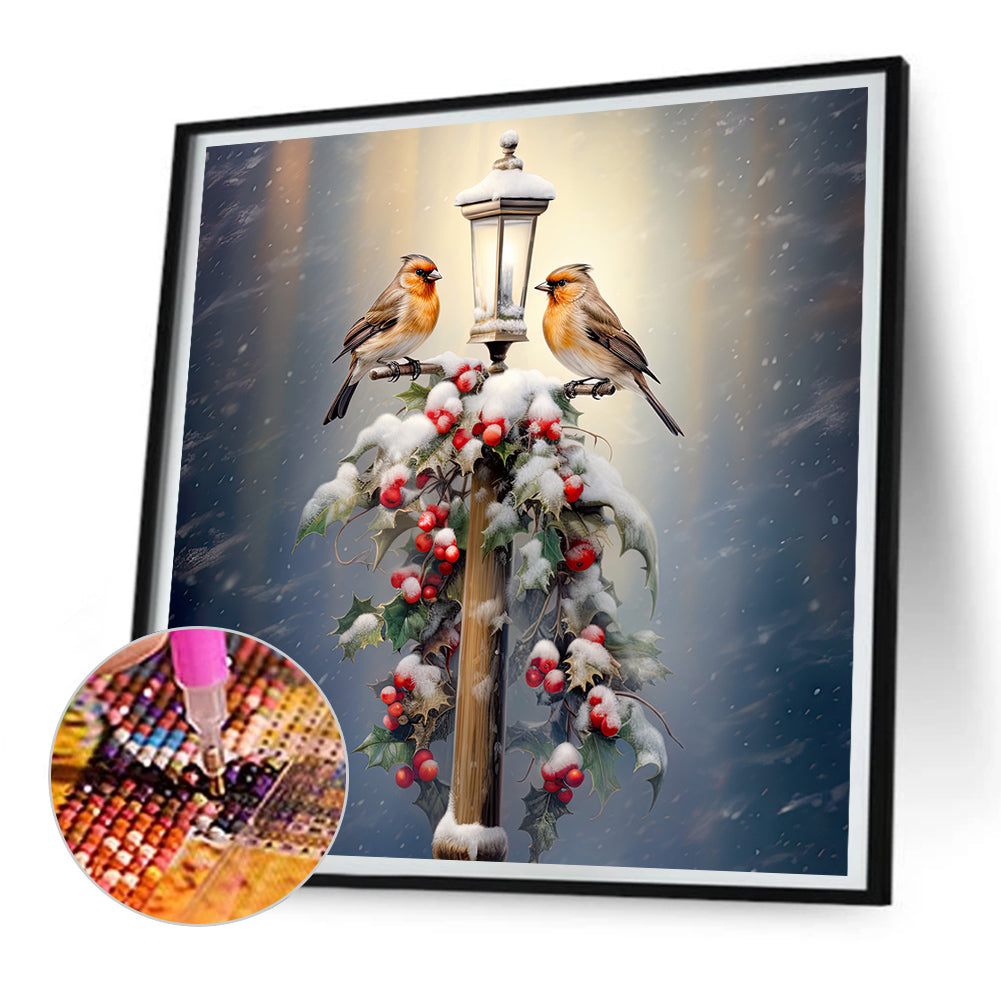 Street Light Bird - Full Round Drill Diamond Painting 30*30CM