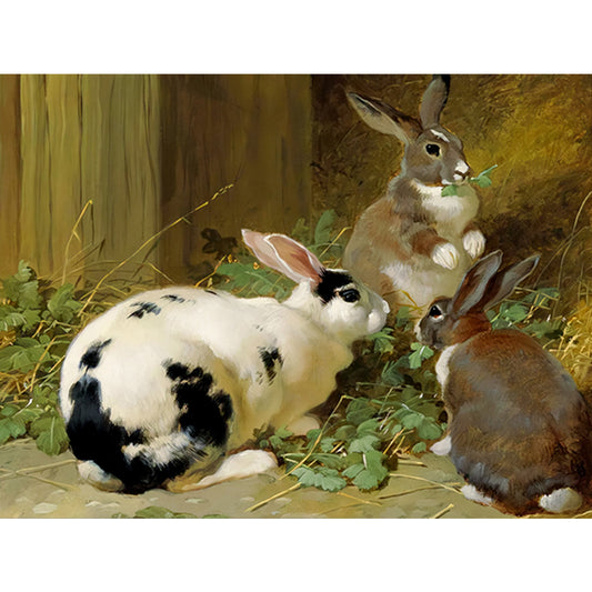 Rabbit Nest - Full Round Drill Diamond Painting 40*30CM