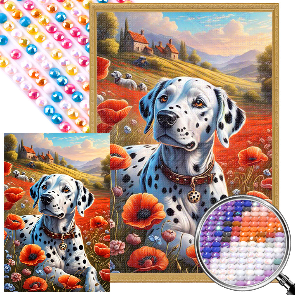 Poppies And Dalmatians - Full AB Round Drill Diamond Painting 40*60CM