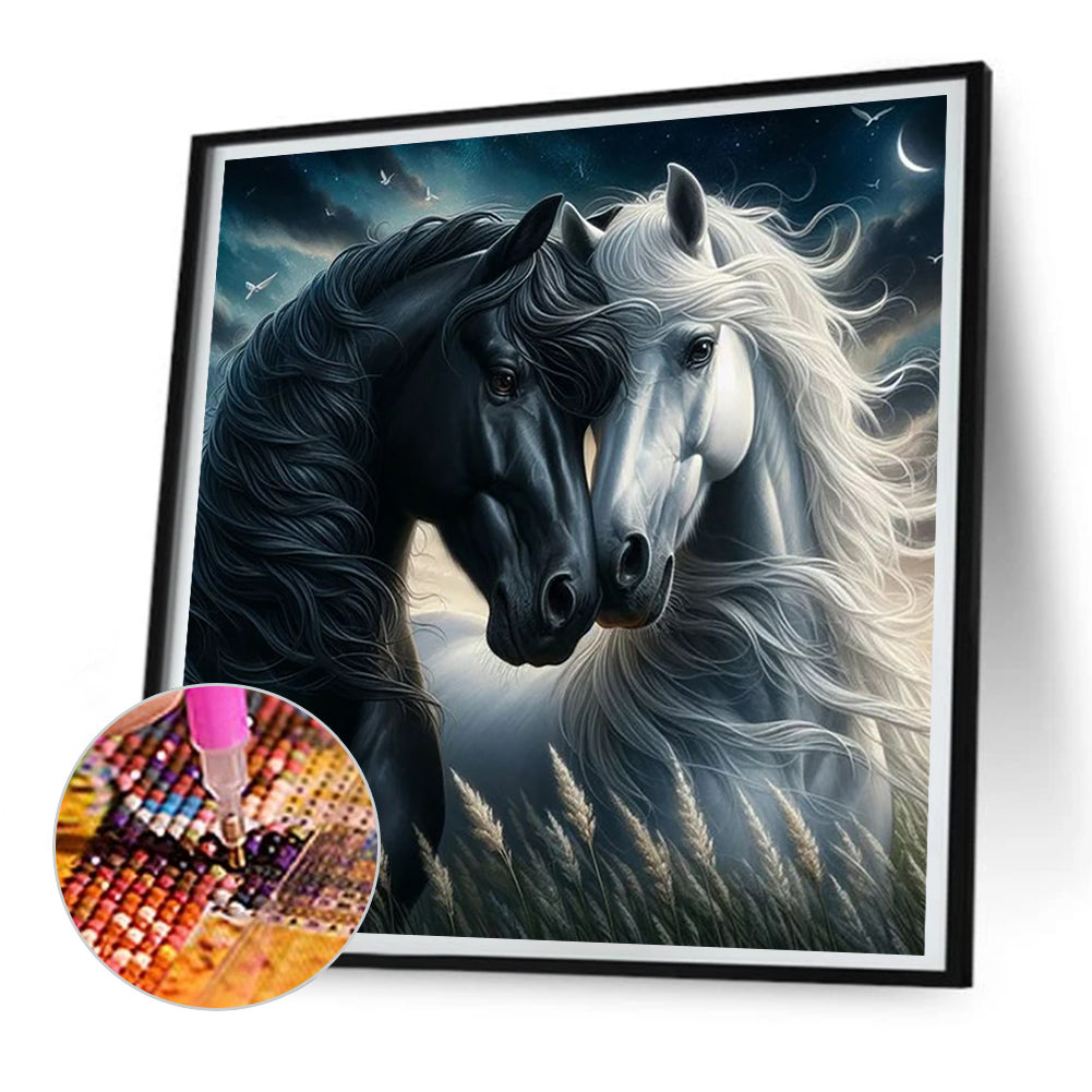 Black Horse White Horse - Full Round Drill Diamond Painting 30*30CM